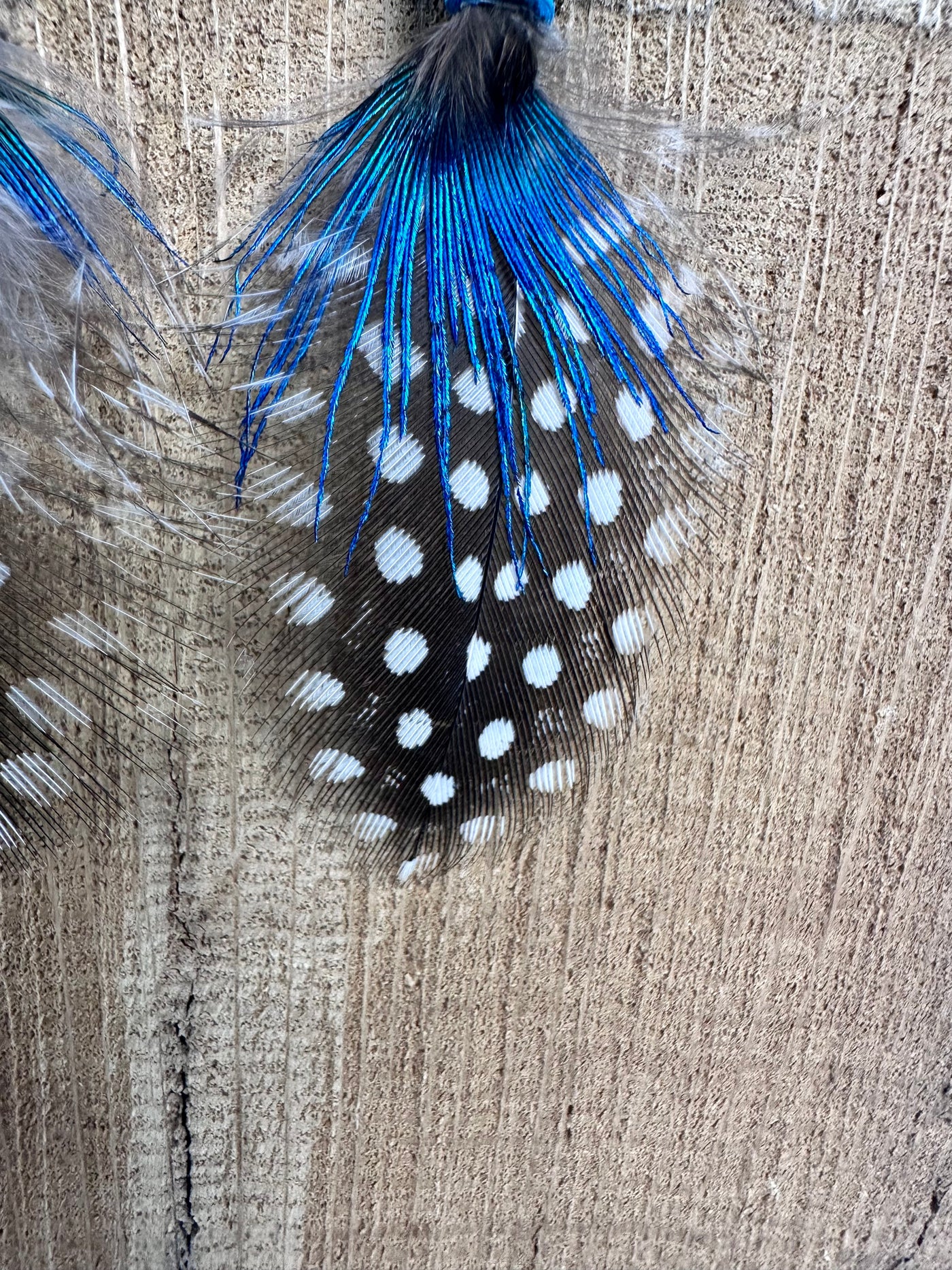 The Peacock 2-inch Minis